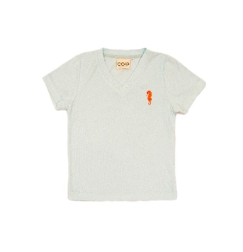 PR020 - v neck t shirt